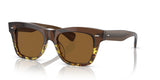 Oliver Peoples Ms. Oliver Espresso /382 Gradient Frame w/ True Brown Crystal Lens Sunglasses