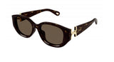 Chloe Havana Gold Frame w/ Brown Lens Sunglasses