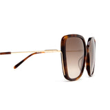 Chloe Havana/Gold Frame w/ Brown Lens Sunglasses