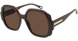 Chloe Brown Frame w/ Brown Gradient Lens Sunglasses