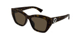 Gucci Zara Havana Brown Frame w /Brown Lens Sunglasses