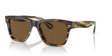 Oliver Peoples Oliver Sun Cocobolo Frame w/ True Polar Brown Lens Sunglasses