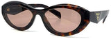 Prada Root Tortoise Frame w/ Light Brown Lens Sunglasses